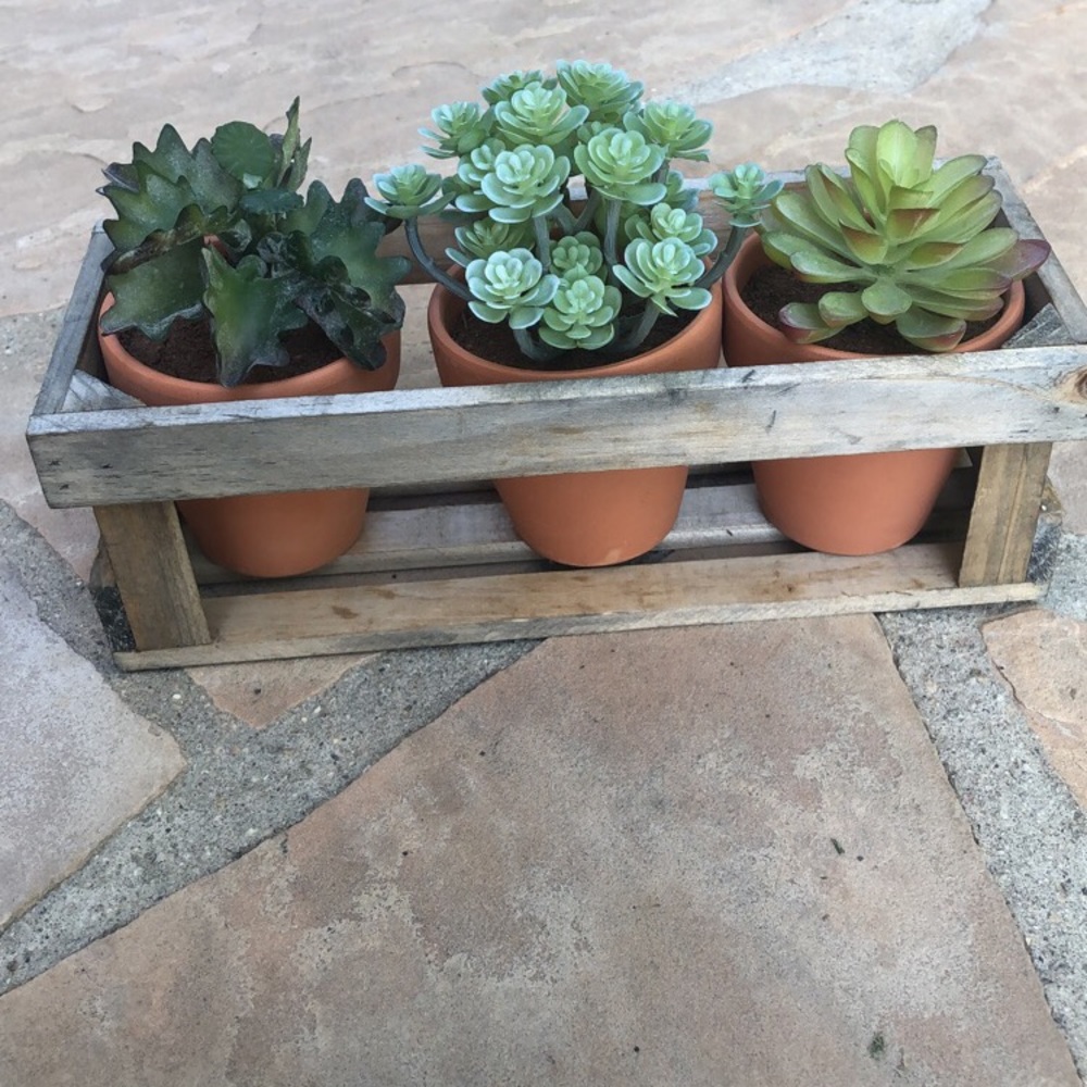 fake succulents in a crate